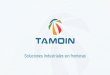 Presentación Ingeniería Aplicada | Tamoin · La gestión de la Planta requiere un enfoque estratégico para mantener la integridad de los equipos y garantizar una producción óptima