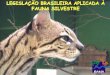LEGISLAÇÃO BRASILEIRA APLICADA À FAUNA SILVESTREportalantigo.mpba.mp.br/atuacao/ceama/eventos/2015/jun_14_manejo/... · Capítulo V , Seção I- Dos crimes contra a fauna Art