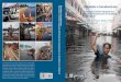 Ciudades e Inundaciones - reliefweb.int · Ciudades e Inundaciones Guía para la Gestión Integrada del Riesgo de Inundaciones en Ciudades en el Siglo 21 Resumen para hacedores de
