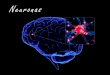 Neuronas - enfermeria-unitec2.webnode.es · A través de las neuronas se transmiten señales eléctricas denominadas impulsos nerviosos, los cuales son recibidos en las dendritas,
