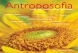 Cuprins - blog.antroposofie.roblog.antroposofie.ro/wp-content/uploads/2017/11/Antroposofia-nr-1.pdf · conform cu poziţia astrelor pe cer la data respectivă. Dar odată cu Misteriul