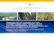 marché du carbone et paiements des - African Forest Forumafforum.org/sites/default/files/French/French_57.pdf · changements climatiques et les forêts: adaptation, atténuation,