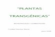 “PLANTAS TRANSGÉNICAS” - cosmolinux.no-ip.orgcosmolinux.no-ip.org/recursos_aula/BIO1erBAT/Enginyeria_genetica/... · transgénicos en la actualidad, hablan de los efectos primarios