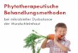 Wieland Kiel 2017 - Aromaöle Parodolium ParoCheck pdf · Infektion – Antibiotika – Ernährung – Lebensstil Stabiles persönliches Mikrobiom Regeneration des Mikrobioms Erste