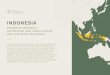 INDONESIA - faithsforforests.com · hotspot keanekaragaman hayati global dimana spesies endemik berisiko tinggi mengalami kehilangan habitat (Sundaland dan Wallacea).11 Juga memiliki