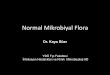 Normal Mikrobiyal Flora - neu.edu.tr · normal flora üyesi iken AC’de patojen olabilir –Immunosupresif kişilerde normal flora etkenleri hastalık etkeni olarak karşımıza