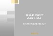 RRAAPPOORRTT AANNUUAALL - Compacompa.ro/wp-content/uploads/2017/03/7_Situatia-consolidata_Raport-con... · conturilor la 01.01.2016 şi 31.12.2016, conform IFRS pentru toate firmele