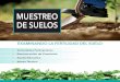 MUESTREO DE SUELOS - scanprogram.orgscanprogram.org/wp-content/uploads/2012/08/BPA-7.-Muestreo-de-Suelos... · actividad de nutrición o el pre saber del agricul-tor. Una vez los