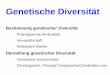 Genetische Diversität - plantbreeding.boku.ac.atplantbreeding.boku.ac.at/957308/03_Genet_Diversitaet.pdf · Genetische Diversität . Bestimmung genetischer Diversität . Phänotypische