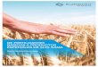 DE FERTILIZANTES BÁSICOS A PRODUCTOS ESPECIALES DE … · EuroChem Agro Ventas de toda la gama de productos ventas de ENtEC ® y Nitrofoska Operamos con una fuerte red de ventas