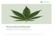 hanfverband.de€¦  · Web viewDort wird durch das europäische Parlament konstatiert, dass es nach heutigem Stand der Wissenschaft überzeugende Beweise dafür gibt, dass Cannabis