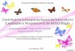 Contribuții la cunoașterea faunei de fluturi diurni ... · Contribuții la cunoașterea faunei de fluturi diurni (Lepidoptera: Rhopalocera) din ROSCI Băgău Andreea Bocioac ă¹,