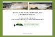 ESTUDIO DE IMPACTO AMBIENTAL - newmontgoldcorp-marlin.com · Estudio de Evaluación de Impacto Ambiental Montana Exploradora de Guatemala, S.A. Plan de Cierre de la Escombrera y del