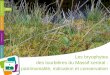 Les bryophytes des tourbières du Massif central ... · Les bryophytes des tourbières du Massif central : patrimonialité, indication et conservation Jaoua CELLE R R E. Quelques
