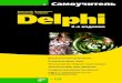 Самоучитель Delphi. 2-е изд.static2.ozone.ru/multimedia/book_file/1005872909.pdfмультимедиа, работа с файлами и каталогами. Даются
