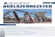 Magyar Acélszerkezeti Szövetség lapja – Journal of the ... · Magyar Acélszerkezeti Szövetség lapja – Journal of the Hungarian Steel Association TÁJÉKOZTATÓ AZ ELNÖKSÉGI