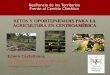 Retos y oportunidades para la agricultura en Centroaméricaconferencias.cepal.org/seminario_resiliencia/Martes 3/Pdf/Edwin Castellanos.pdf · •Los recursos que estos dos sectores
