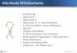 MSc-Modul RNA-Biochemie â€¢ Influenza â€“ein RNA-Virus RNA Biochemie 11/1 MSc-Modul RNA-Biochemie. RNA