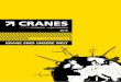 CRANES - Startseite - Steil Kranarbeiten · CRANES: Das Magazin der Unternehmensgruppe Steil Kranarbeiten ver--nes bietet Informationen zur Unternehmensgruppe, zu aktuellen Projekten,