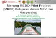 Merang REDD Pilot Project...20.12.2011 Seite 1 Merang REDD Pilot Project (MRPP) Pelajaran dalam MRV dan Masyarakat di Kawasan Hutan Produksi Rawa Gambut Merang Kepayang Kab Musi Banyuasin