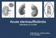 1. Definitie en classificatieforumig.be/wp-content/uploads/2018/11/ZSL-Acute...Definitie: AKI –Acute Kidney Injury •Syndroom gekenmerkt door snel verlies van de excretiefunctie