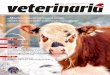 „Medicul uman salvează omul, medicul veterinar salvează ... · written and illustrated by Iuliana Ionascu, DVM of the Faculty of Veterinary Medicine in Bucharest. Her interest