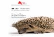 Nouvelles Nachrichten Informazion...Stratégie nationale de révision du statut Liste Rouge des espèces 2 Initiative GBIF.ch 8 Swiss-BOL: Swiss Inventory of Genetic Biodiversity 10