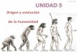 Origen y evolución de la humanidadDarwin y “El origen del hombre” ... ¿Cómo es en humanos en comparación al chimpancé? ¿Cuál es la finalidad de estos cambios en la pelvis?