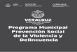 Programa Municipal Prevención Social de la …...la comisión de delitos y combatir la delincuencia. Asi mismo impulsar la transversalidad de las instituciones dedicadas a la prevención