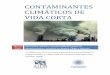 contaminantes climáticos de vida cortaCONTAMINANTES CLIMÁTICOS DE VIDA CORTA Marzo 2016 Situación actual y oportunidades para su disminución y control en Brasil, Chile y México
