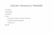 LEZIUNI TRAUMATICE PRIMAREumfcdbioetica.ro/produse/46/37/03_Curs lez traumatice 2018.pdf · viteza cinetica (lovire cu): –Leziuni de lovire la locul de impact cu agentul traumatic