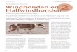 Op vleugels van de wind… Windhonden en Halfwindhonden deel 2.pdf · 2018-10-27 · 66 UE RASSEN Windhonden en Halfwindhonden Dit artikel en de volgende vormen een deel van de serie