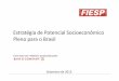 Estratégia de Potencial Socioeconômico Pleno para o Brasileesp.fgv.br/sites/eesp.fgv.br/files/file/Estrategia_Potencial... · Estratégia de potencial socioeconômico pleno para