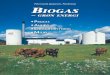 Peter Jacob Jørgensen, PlanEnergi Biogas · rende til 11,06 kWh/m3. Blandes biogas med 5 - 20 % luft fås såkaldt knaldgas, der som navnet siger, er eksplosivt. hvad er Biogas?
