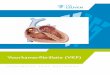 Voorkamerfibrillatie (VKF)...Voorkamerfibrillatie (VKF) 3 Met deze brochure willen we u informatie geven over voorka-merfibrillatie, de meest voorkomende hartritmestoornis. U verneemt