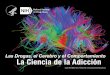 Las Drogas, el Cerebro y el Comportamiento La …...Los científicos estudian los efectos que las drogas tienen en el cerebro y en el comportamiento de las personas. Ellos utilizan