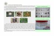 COLECȚIA DE ORGANISME GALIGENE · 2017-05-30 · urma activității insectelor, urmate de galele produse de acarieni, bacterii, ciuperci și plante hemiparazite. Galele și în unele