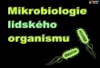 atraktivnibiologie.upol.czatraktivnibiologie.upol.cz/docs/pdf/MIKROBIOLOGIE... · 2008-06-09 · Jde o nepatogenní bakterii, která však müŽe být mylné diagnostikována jako