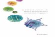 Thermo Fisher Scientific - ライフテクノロジーズ...ライフテクノロジーズ 細胞生物学抜粋2010 － フローサイトメトリーを中心に － FXCycle用販促資料.indd