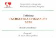 Tribina · 2018-03-16 · analiza uslova potrebnih i dovoljnih za efektivno i efikasno sprovođenje strategija. Tu se pre svega misli na institucionalno organizovanje, izgradnju kadrova