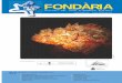 FONDÀRIA - Club d'Immersió Biologia · 2005-10-15 · Fondària 57 OCTUBRE Des del 13 CURS DE SUBMARINISME 125 OWD Aprèn a capbussar-te i a reconèixer la vida subaquàtica aconseguint