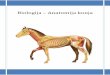 Biologija – Anatomija konjapredmetkonjarstvo.weebly.com/uploads/2/4/4/3/24436595/ii... · 2018-09-09 · Biologija – Anatomija konja. Skele siste Kosti 3 3 1- ZUBNA FORMULA ODRASLOG