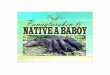 native a baboy - Department of Agricultureilocos.da.gov.ph/images/IECs/iec materials/native a baboy -livestock.pdf · manipud iti Pag-aalaga ng Native na Baboy nga inaramid iti: Department