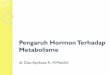 Pengaruh Hormon Terhadap Metabolisme Hormon Thd Metabolisme 8 Mei... metabolisme makromolekul di dalam
