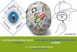 P.I. INTERNATIONAL SUMMER SCHOOLL ULUSLARARASI ÖZ L … 2017 - Rapor.pdf · Alexandru Dafinoiu – Romania / Methods and techniques of investigations in social media, Rafael Guerrero