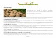 Krompir - Zeleni svet · stran 1 Krompir Pridelava krompirja je dokaj enostavna, če ste pozorni na pravi čas sajenja, pravilno gnojenje, upoštevate kolobar. Če v gredico s krompirjem