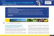 Boletín mensual del Centro Europeo de Información Rural de ...asaga-asaja.com/wp-content/uploads/2014/01/boletin_edc122010.pdfPopular Europeo del informe sobre “El acuerdo bananero