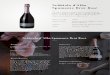 Nebbiolo d'Alba Spumante Brut Rosé · 2018-09-04 · Metoda lśnienia: Druga fermentacja, kiedy moszcz mniej lub mocniej klarowny, zaczyna mętnieć, pokrywa się o obfitą pianą