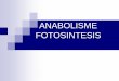ANABOLISME FOTOSINTESIS fotosintesis 8. Menjelaskan reaksi gelap fotosintesis 1. Melakukan percobaan