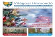 Balatonvilagosi Hirmondo 2018-12-21 verzio 02balatonvilagos.hu/hirmondo/2018/18-12.pdftematikus esküvőket, amikor egy adott téma köré építjük fel az egész rendezvényt. Egyik
